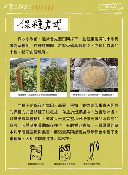 「臺灣小米！種起來！」成果電子報第三期