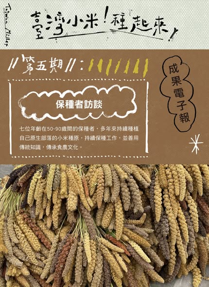 臺灣小米！種起來！成果電子報第五期