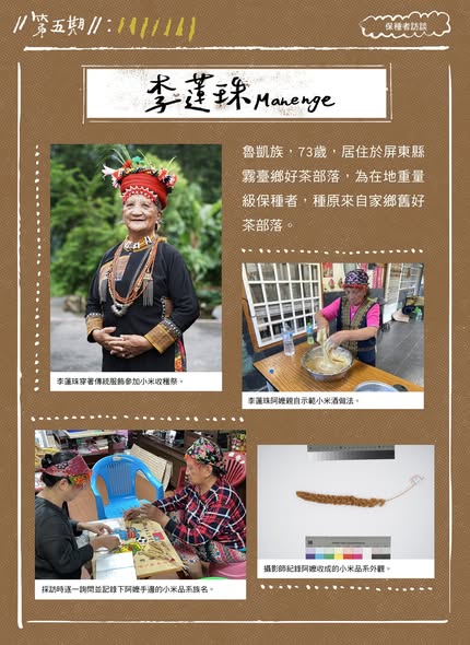 臺灣小米！種起來！成果電子報第五期