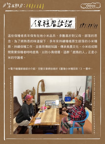 臺灣小米！種起來！成果電子報第五期