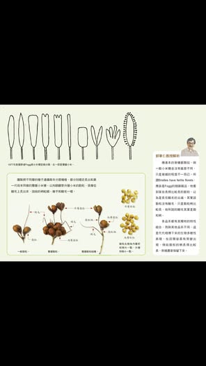 影像紀錄（1073375038139121）