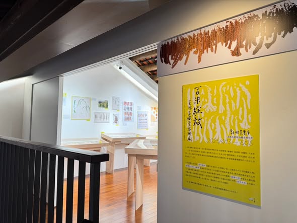 百米綻放·臺灣小米環臺串聯展於大稻埕正式開展