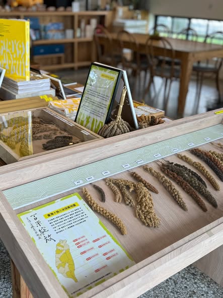 百米綻放：臺灣小米環臺串聯展花蓮場