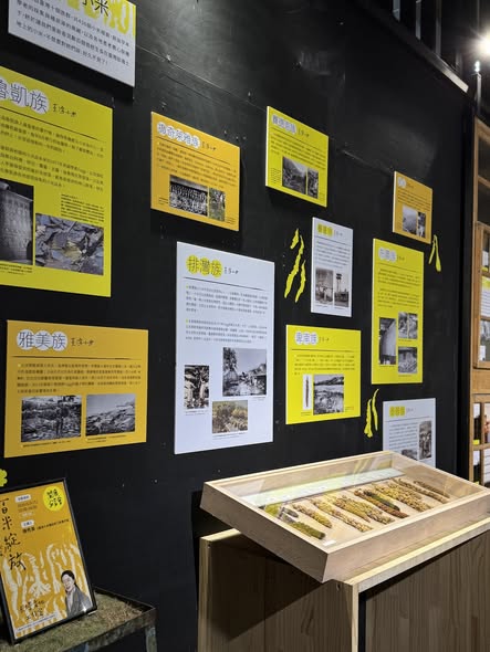 臺灣小米串聯展臺東站開展，展示五大族群保種成果