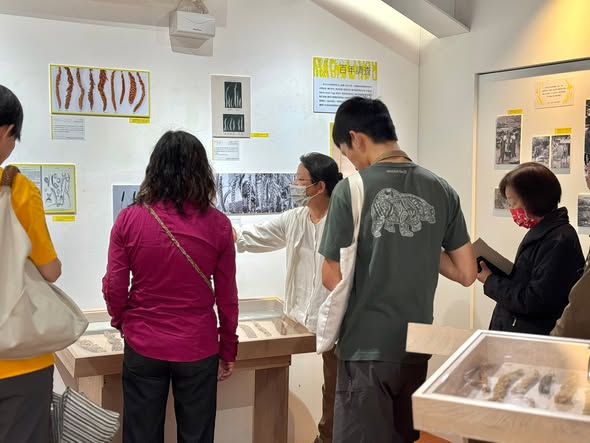 百米綻放臺灣小米環臺串聯展：臺北場分享會回顧