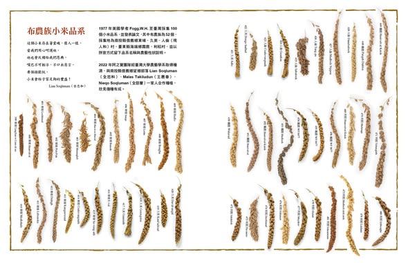 歷史上的今天：100年前的「祭事曆」