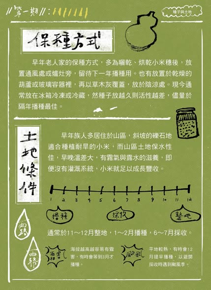 種子與土地