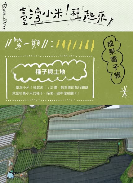 認識臺灣小米：種子與土地的深厚連結
