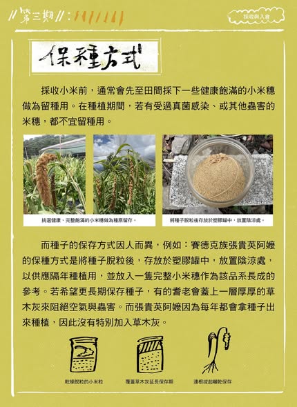 採收與入倉