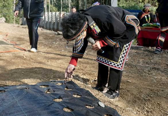 南投縣信義鄉人和國小：小米重新種回人和土地