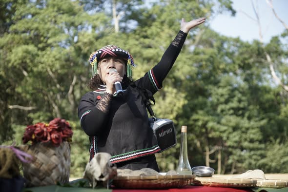 南投縣信義鄉人和國小：小米重新種回人和土地