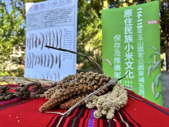 南投信義鄉羅娜國小：新學期從一粒小米種子開始