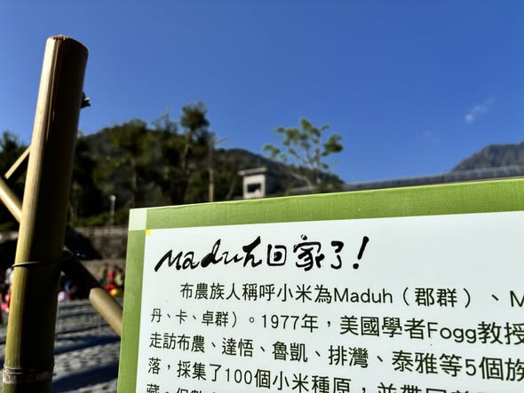 南投信義鄉羅娜國小：新學期從一粒小米種子開始
