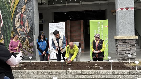 布農族小米保種復育推廣計畫：東埔國小的小米播種儀式