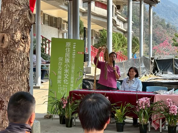 布農族小米保種復育：信義國中開學播種儀式