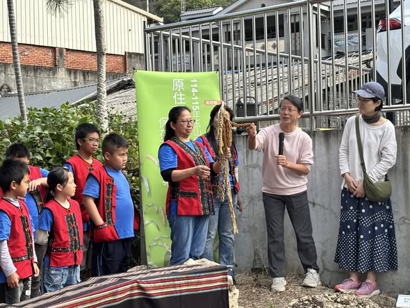 布農族小米保種復育推廣計畫：豐丘國小播種活動，90歲長輩重見小米的感動時刻