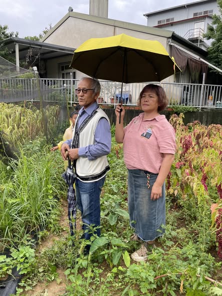 雨中的人和國小小米田