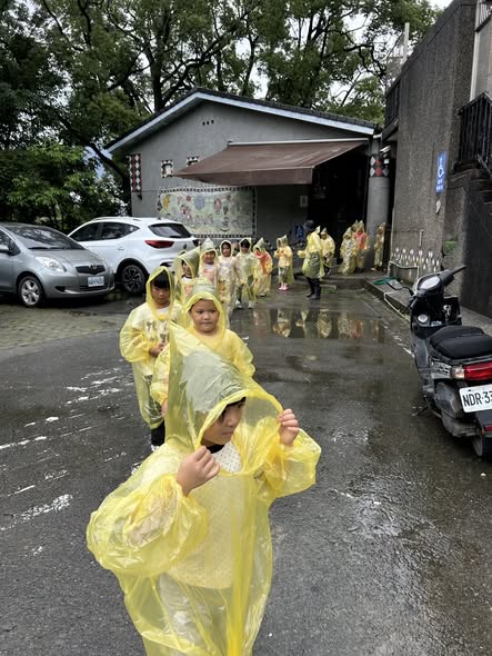 幼兒園的小米採收體驗活動