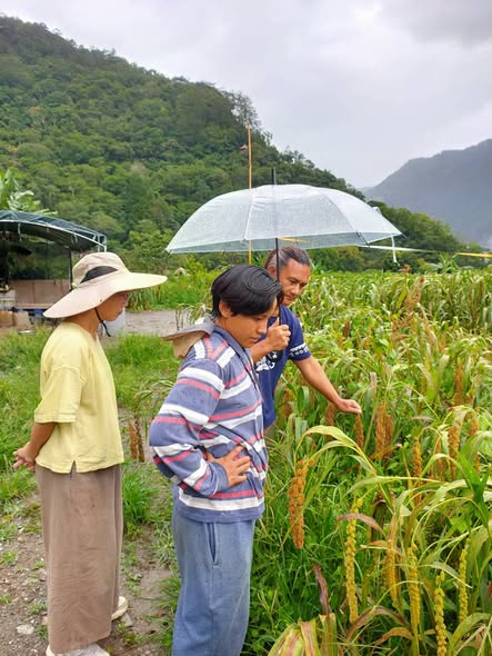 團隊回到山地部落訪查